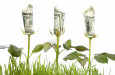 Statement Savings Account