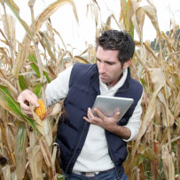 Agribusiness Loans