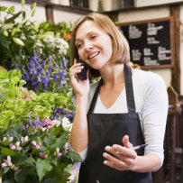 Small Business Loans (SBA)